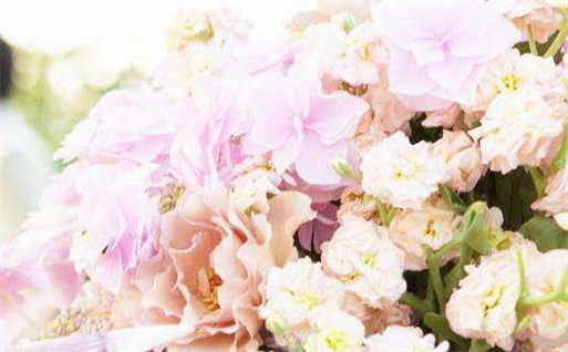 2026年11月28日动土黄道吉日 宜动土建房吉日查询