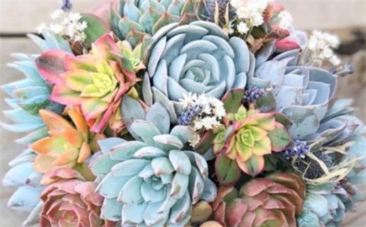 2028年04月29日结婚吉日查询 办婚礼吉利吗 2028年04月29日结婚吉日查询 办婚礼吉利吗