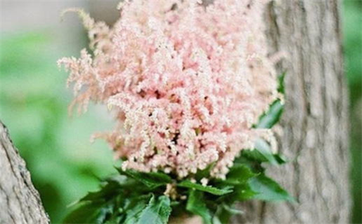 2028年10月24日是结婚好日子吗 今日办喜事好吗