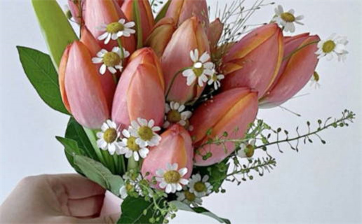 2029年04月01日结婚日子如何 今日办婚礼好吗