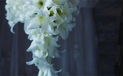 2029年01月25日结婚好不好 适不适合办喜事