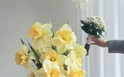 2029年03月06日结婚吉日查询 是办婚礼好日子吗