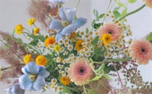 2029年05月02日结婚黄道吉日 今日办婚礼好不好