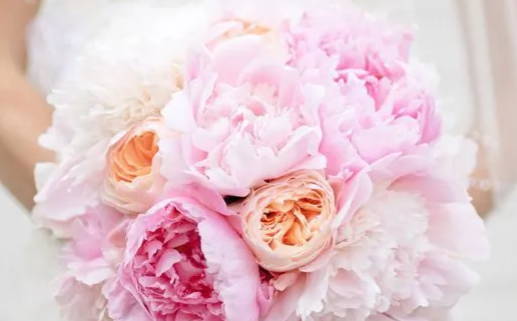 2027年04月07日领证黄道吉日 宜领证吉日查询