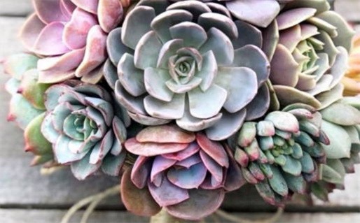 2027年05月10日是领证好日子吗 宜领证结婚吉日查询