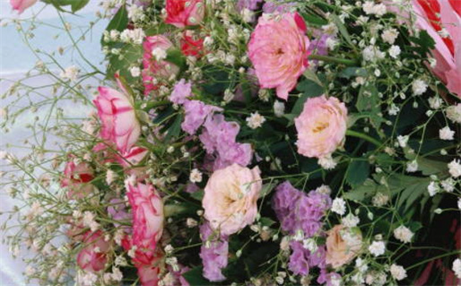 2027年04月23日领证好不好 今日登记结婚好不好