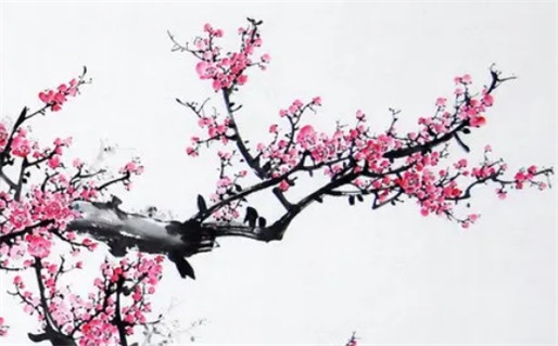 2027年08月26日是领证好日子吗 今日登记领证好吗