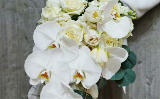 2027年03月26日是领证好日子吗 今日领证结婚好不好