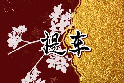 2026年农历九月初六提车日子如何 宜提新车吉日查询