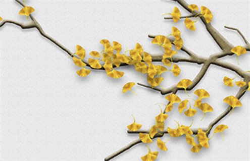 2027年农历腊月十四装修好不好 今日装潢房子好吗