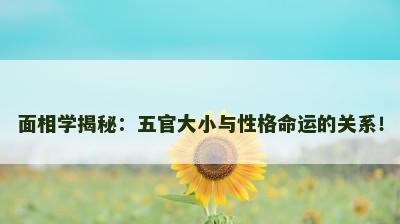 面相学揭秘：五官大小与性格命运的关系！