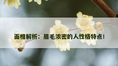 面相解析：眉毛浓密的人性格特点！