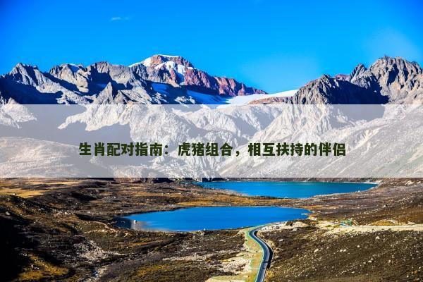 生肖配对指南：虎猪组合，相互扶持的伴侣