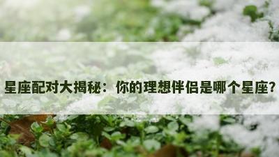 星座配对大揭秘：你的理想伴侣是哪个星座？