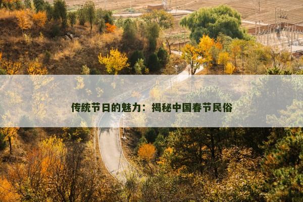 传统节日的魅力：揭秘中国春节民俗