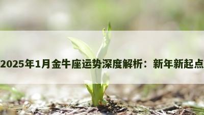 2025年1月金牛座运势深度解析：新年新起点