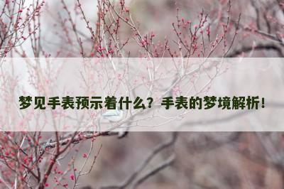 梦见手表预示着什么？手表的梦境解析！
