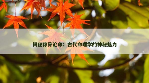 揭秘称骨论命：古代命理学的神秘魅力