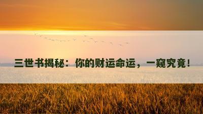 三世书揭秘：你的财运命运，一窥究竟！