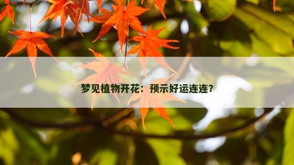 梦见植物开花：预示好运连连？