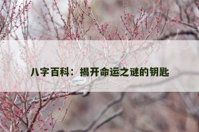 八字百科：揭开命运之谜的钥匙