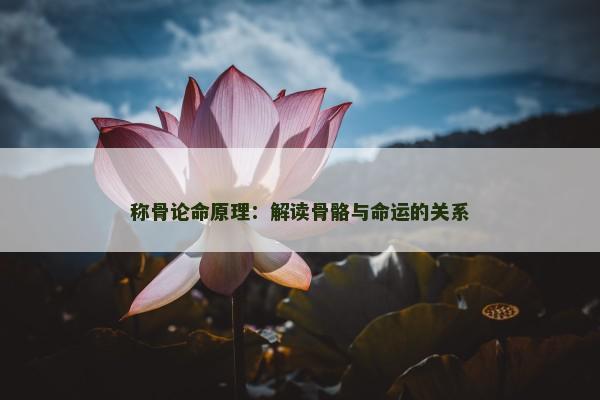 称骨论命原理：解读骨骼与命运的关系
