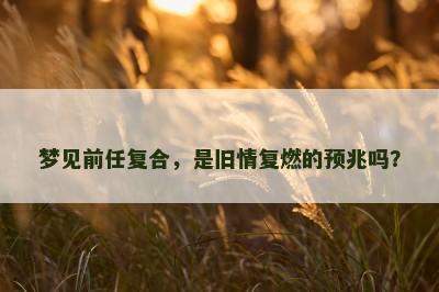 梦见前任复合，是旧情复燃的预兆吗？