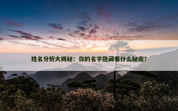 姓名分析大揭秘：你的名字隐藏着什么秘密？