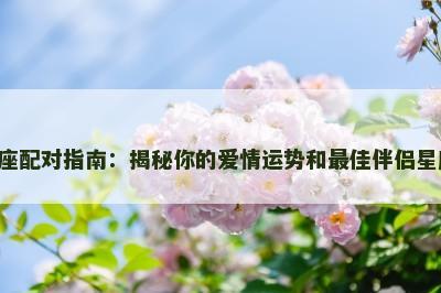星座配对指南：揭秘你的爱情运势和最佳伴侣星座！