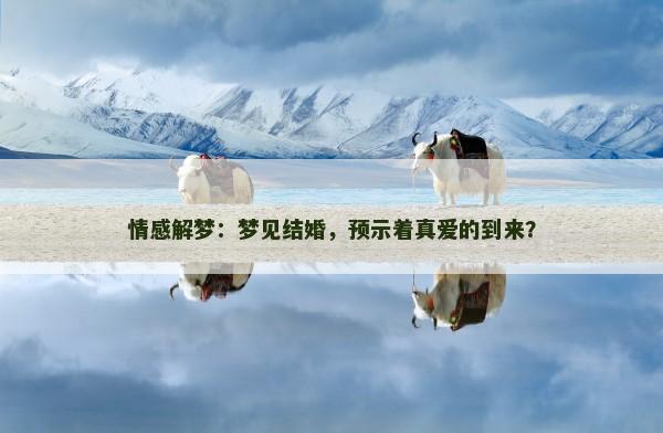 情感解梦：梦见结婚，预示着真爱的到来？