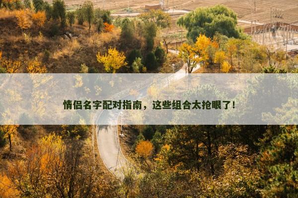 情侣名字配对指南，这些组合太抢眼了！