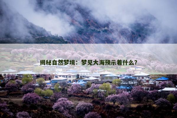 揭秘自然梦境：梦见大海预示着什么？