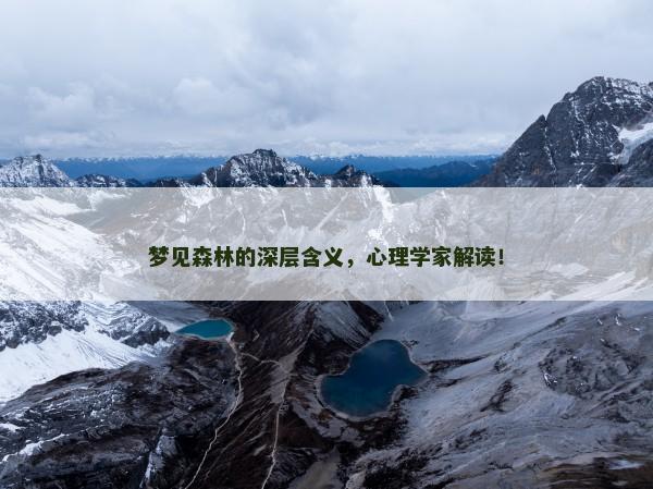 梦见森林的深层含义，心理学家解读！