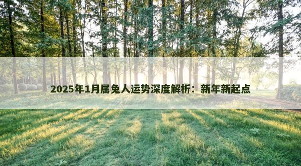 2025年1月属兔人运势深度解析：新年新起点