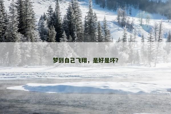梦到自己飞翔，是好是坏？