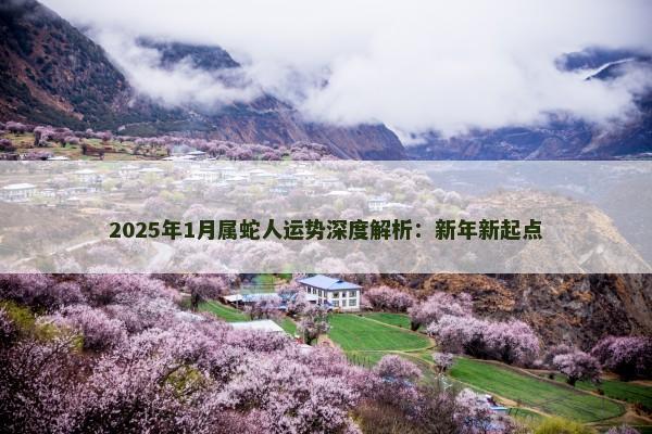 2025年1月属蛇人运势深度解析：新年新起点