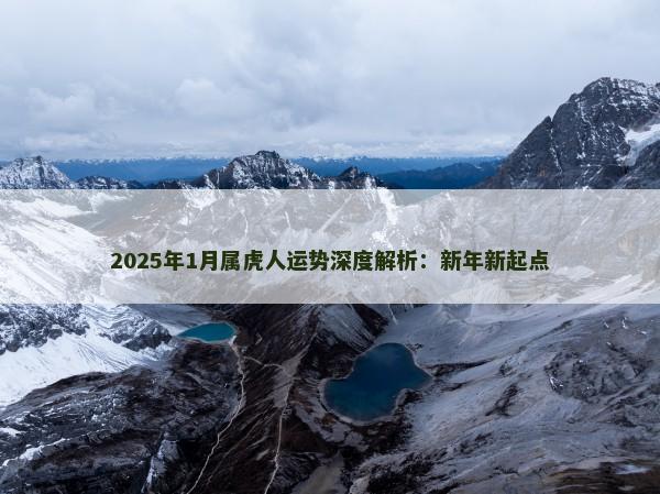 2025年1月属虎人运势深度解析：新年新起点