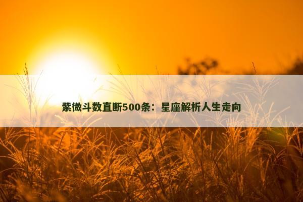 紫微斗数直断500条：星座解析人生走向