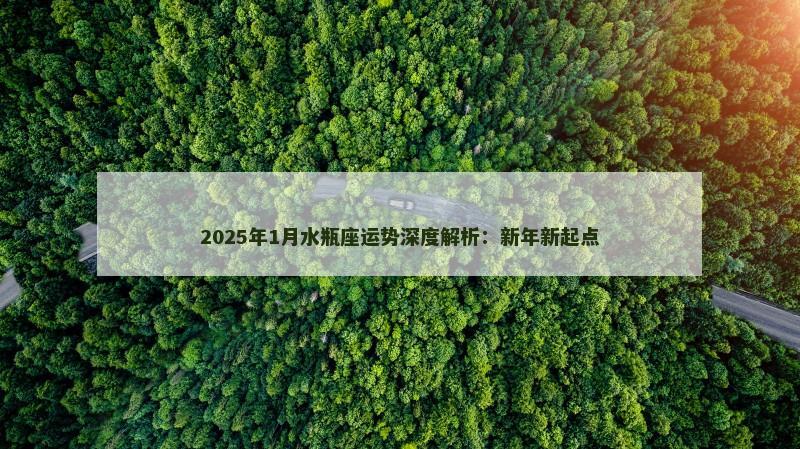2025年1月水瓶座运势深度解析：新年新起点