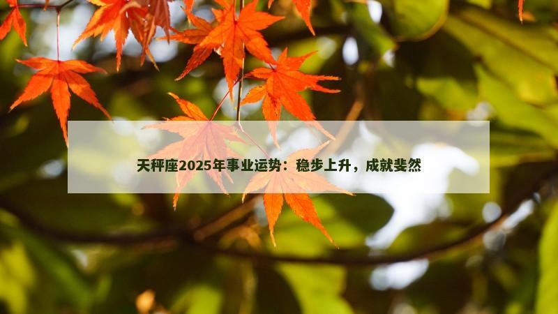 天秤座2025年事业运势：稳步上升，成就斐然