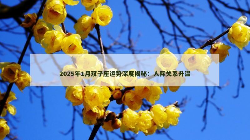 2025年1月双子座运势深度揭秘：人际关系升温