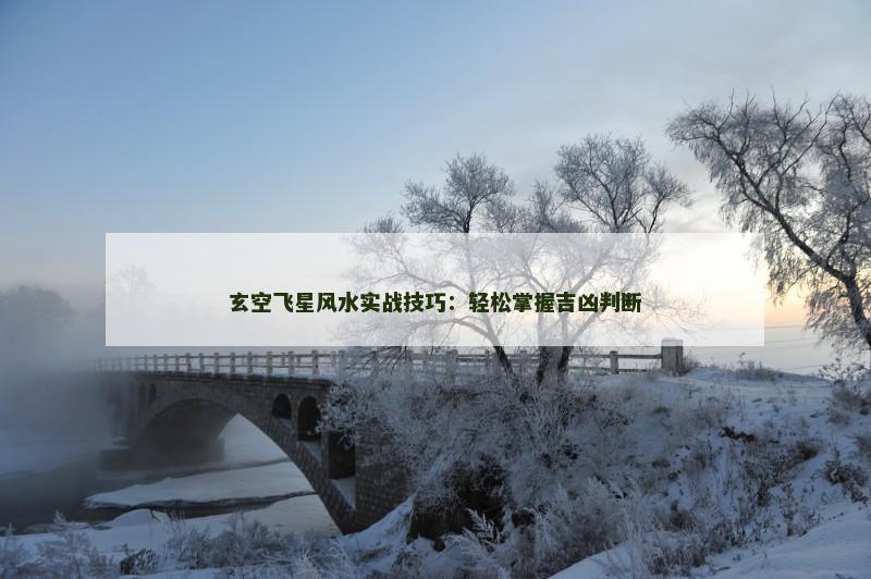 玄空飞星风水实战技巧：轻松掌握吉凶判断