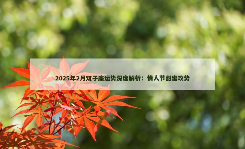 2025年2月双子座运势深度解析：情人节甜蜜攻势