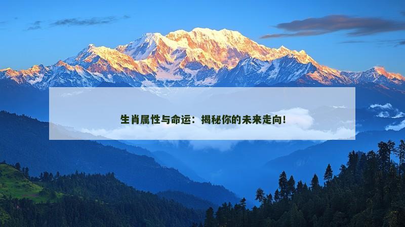 生肖属性与命运：揭秘你的未来走向！