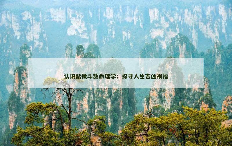 认识紫微斗数命理学：探寻人生吉凶祸福