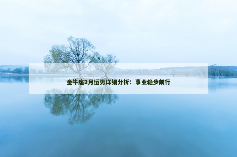 金牛座2月运势详细分析：事业稳步前行