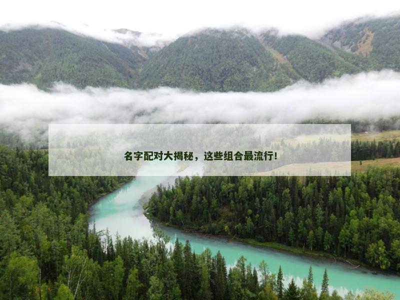 名字配对大揭秘，这些组合最流行！