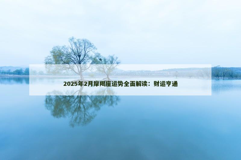 2025年2月摩羯座运势全面解读：财运亨通