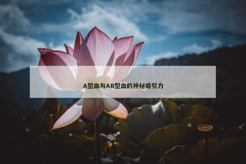 A型血与AB型血的神秘吸引力