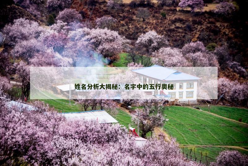姓名分析大揭秘：名字中的五行奥秘